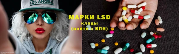 spice Аркадак