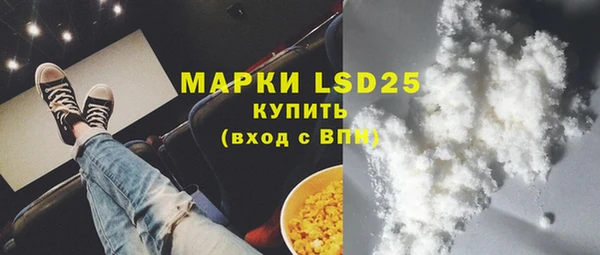 индика Алексин