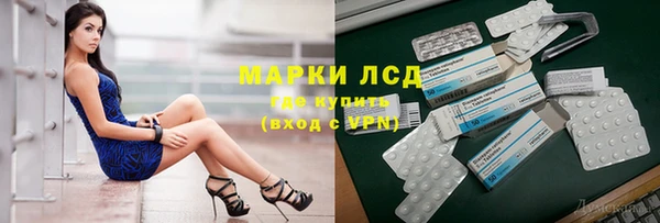 индика Алексин