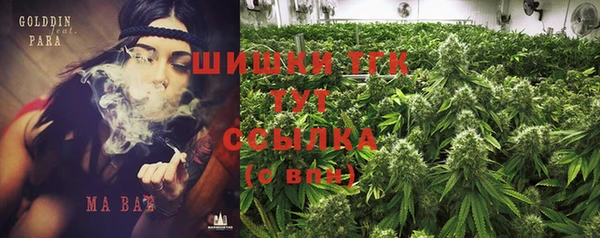 spice Аркадак
