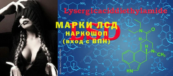 индика Алексин