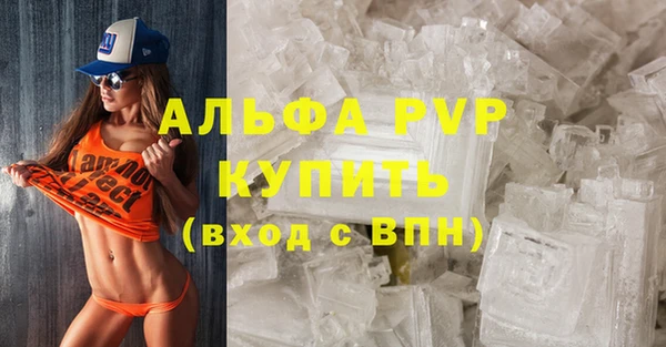 индика Алексин