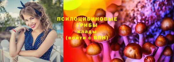 трава Арсеньев
