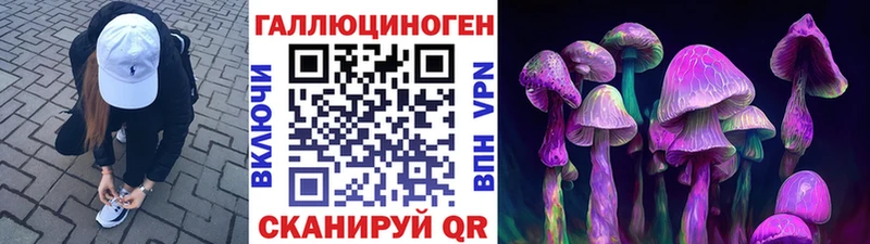 Галлюциногенные грибы MAGIC MUSHROOMS  Купить закладки  Тутаев 
